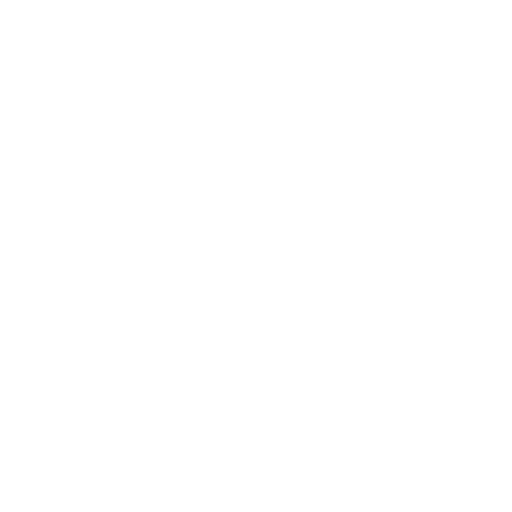 Icon-SEO-Schmiede